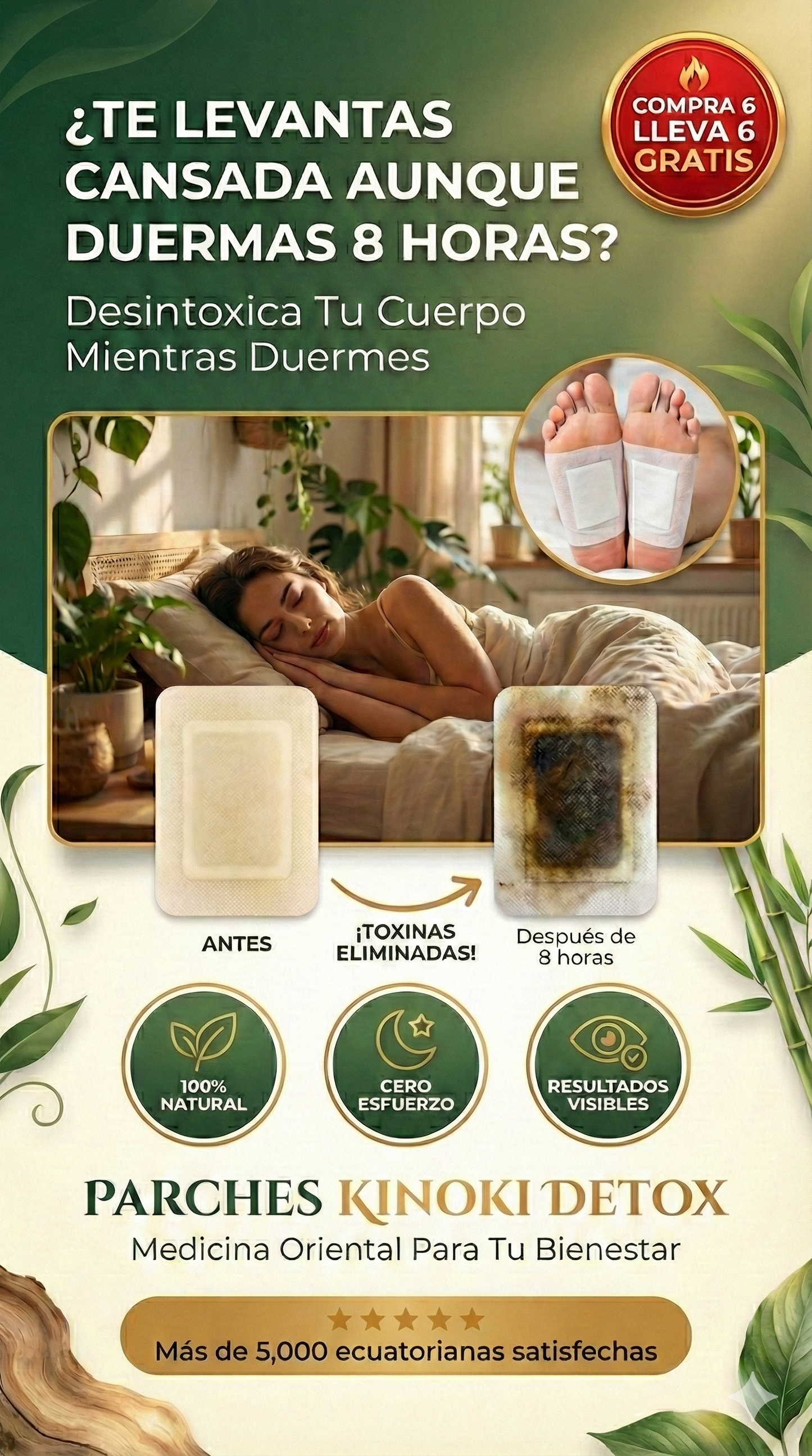 Parches Kinoki Detox